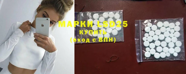 сатива Кулебаки