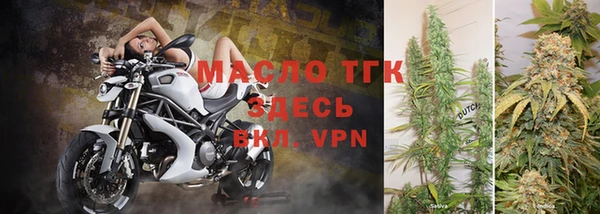 сатива Кулебаки