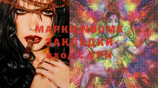 сатива Кулебаки